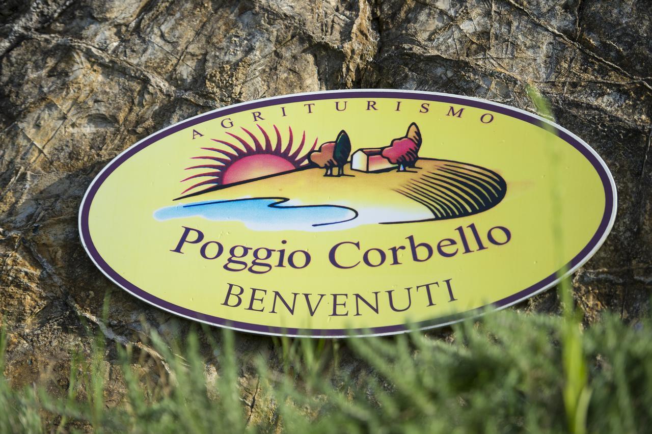 Agriturismo Poggio Corbello 라페스타 외부 사진