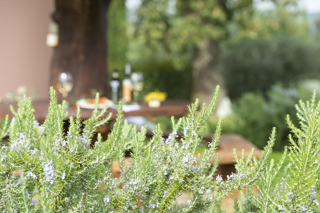 Agriturismo Poggio Corbello 라페스타 외부 사진