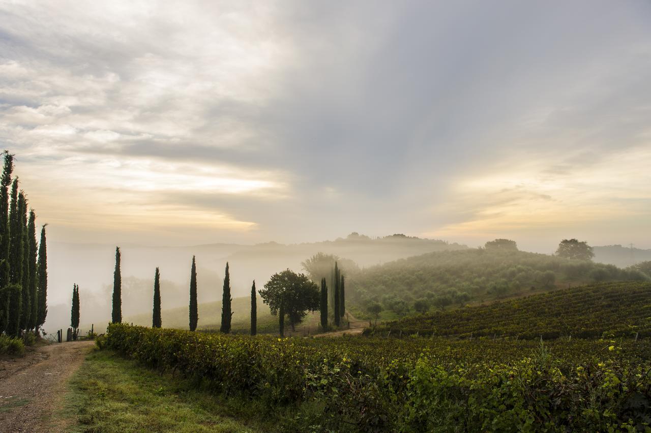 Agriturismo Poggio Corbello 라페스타 외부 사진