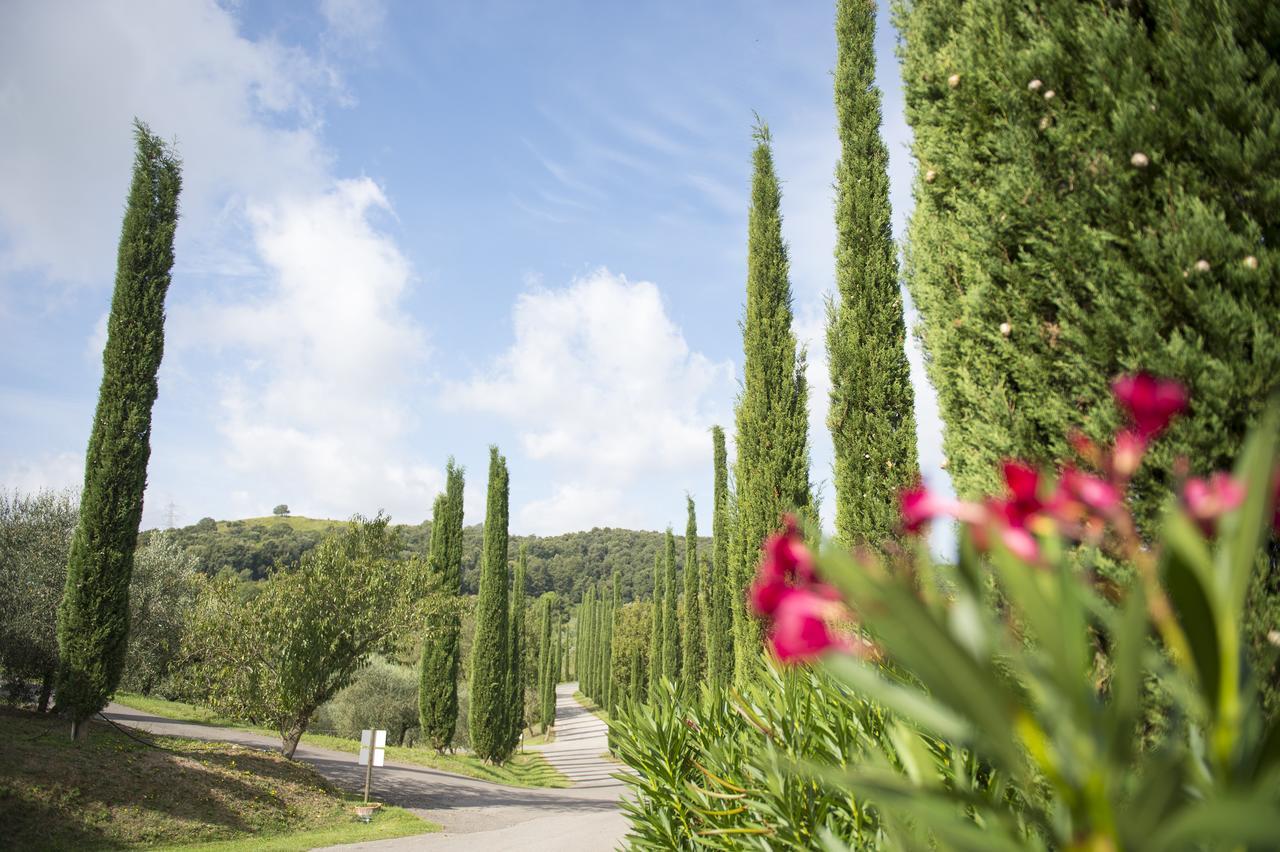 Agriturismo Poggio Corbello 라페스타 외부 사진