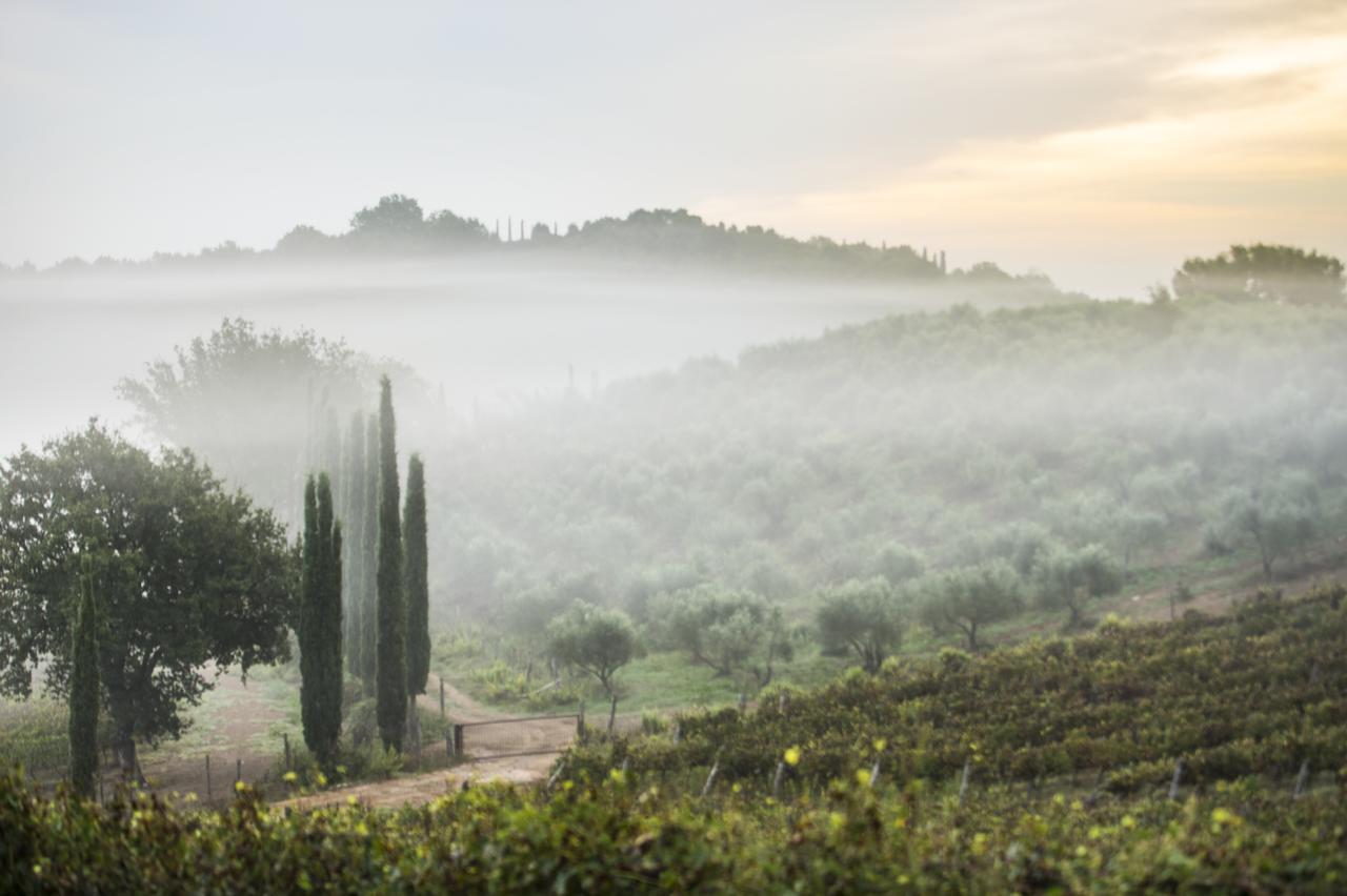 Agriturismo Poggio Corbello 라페스타 외부 사진