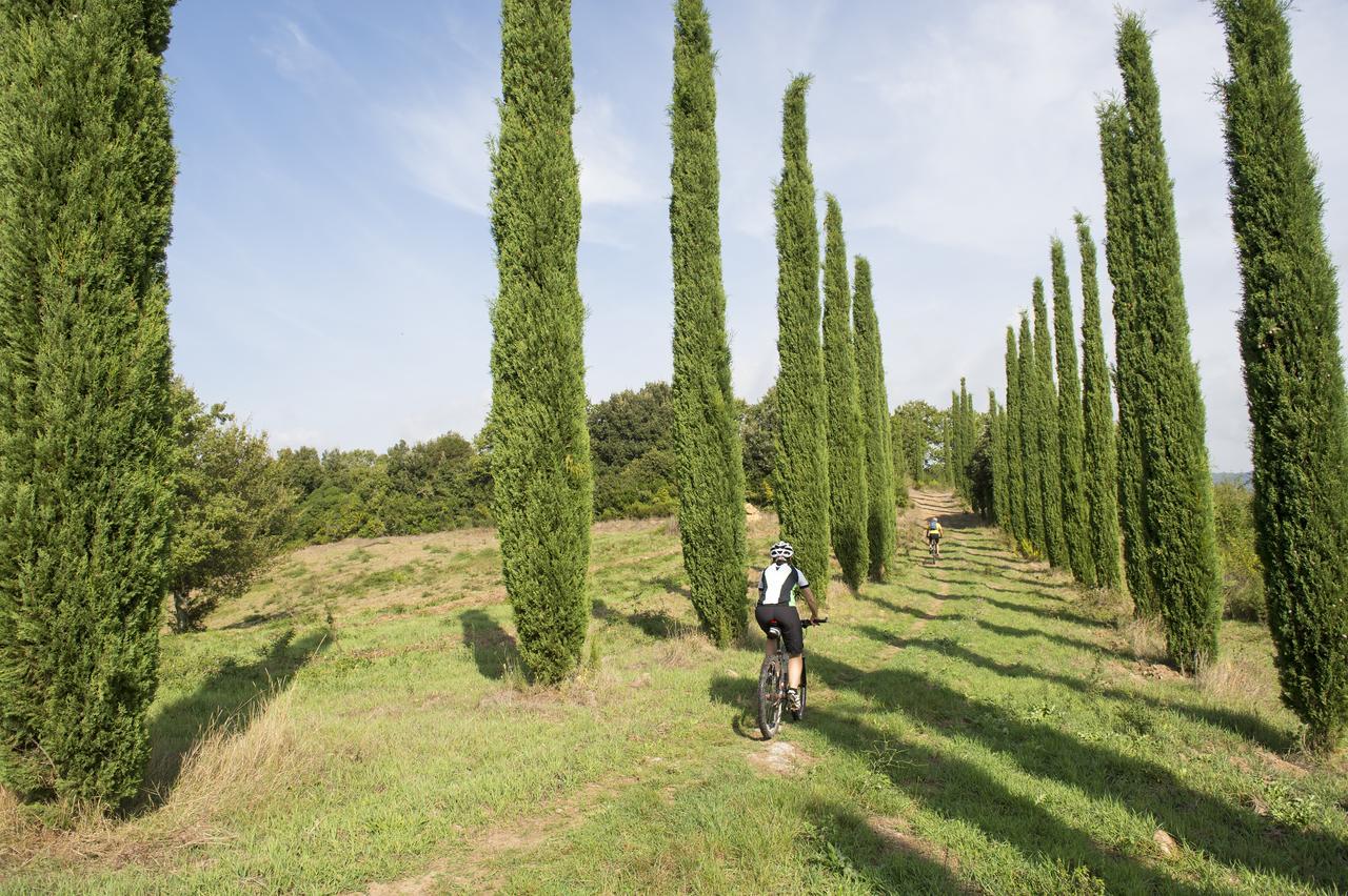 Agriturismo Poggio Corbello 라페스타 외부 사진