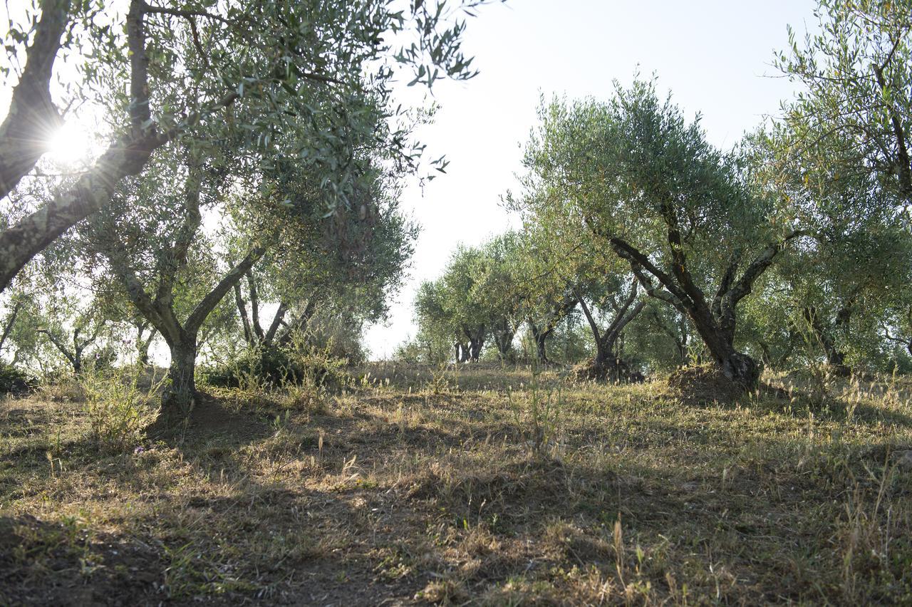Agriturismo Poggio Corbello 라페스타 외부 사진