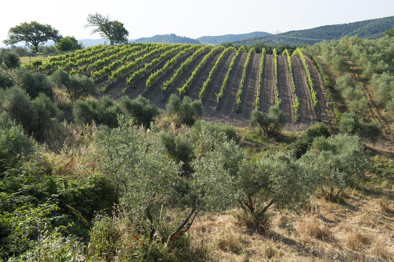 Agriturismo Poggio Corbello 라페스타 외부 사진