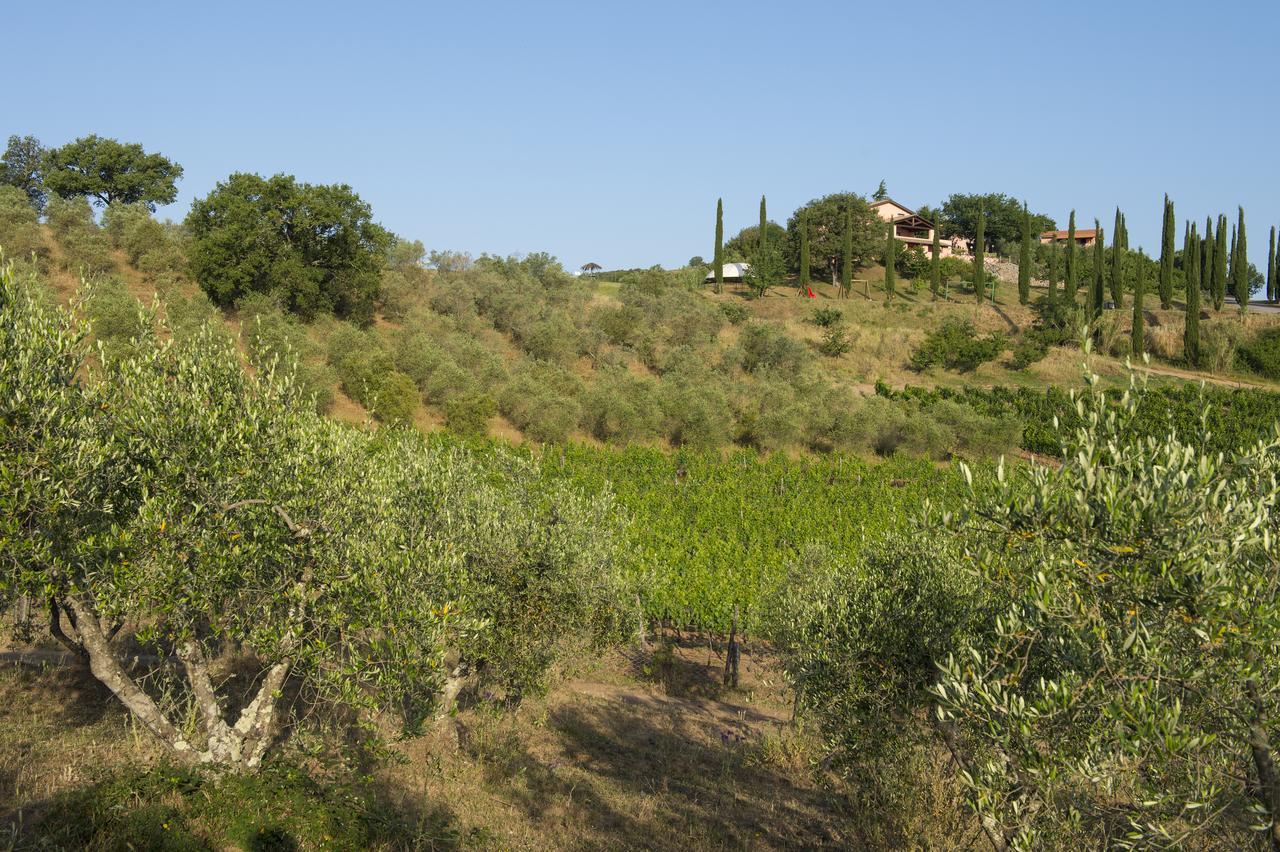 Agriturismo Poggio Corbello 라페스타 외부 사진