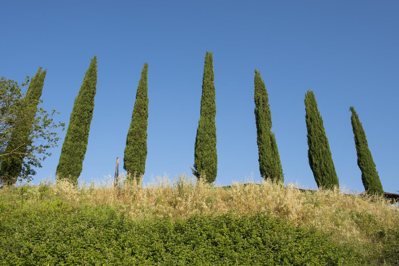 Agriturismo Poggio Corbello 라페스타 외부 사진